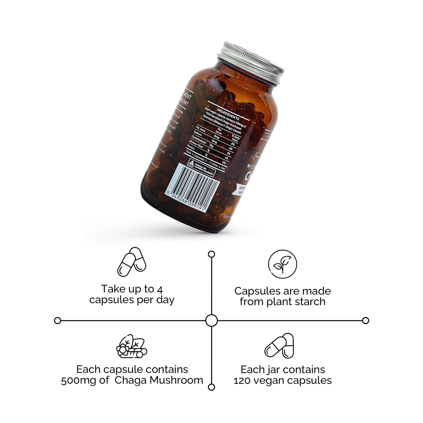 Wild Chaga Mushroom (Canada)