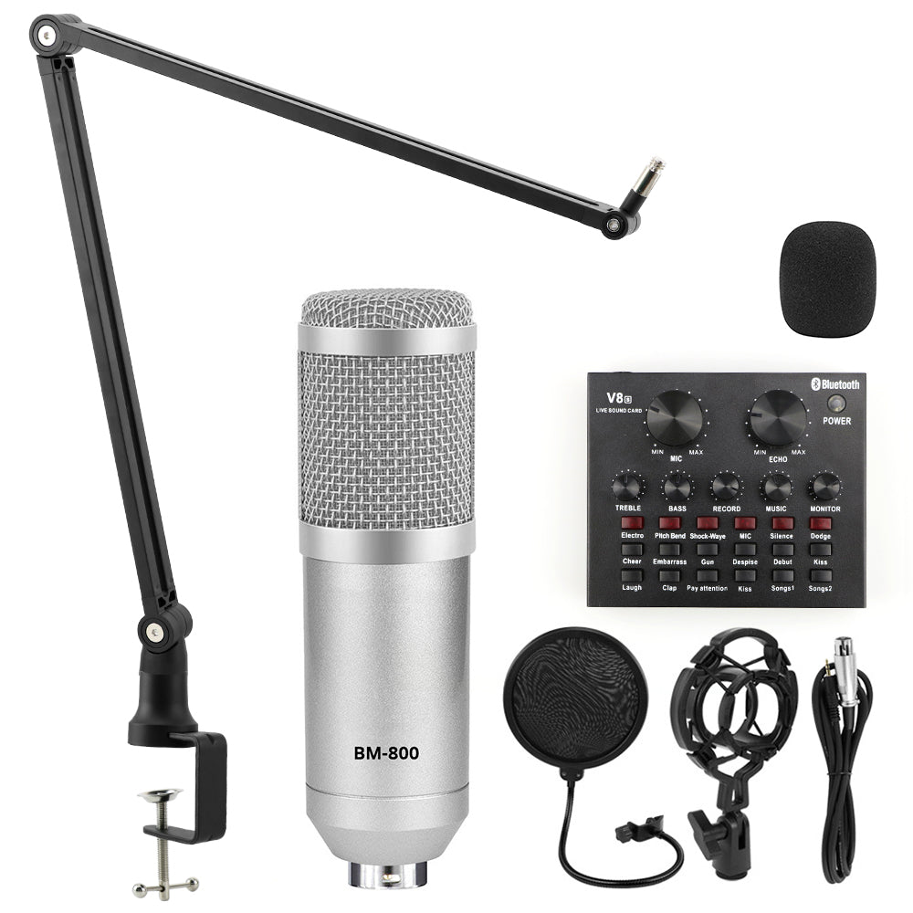 Professional Condenser Microphone for Studio Recording
