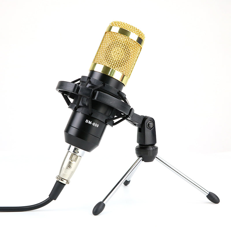 Professional Condenser Microphone for Studio Recording