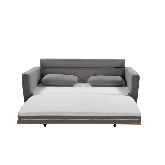 NNEDSZ SHASA 2 Seater Pull-out Sofa bed Grey celadon