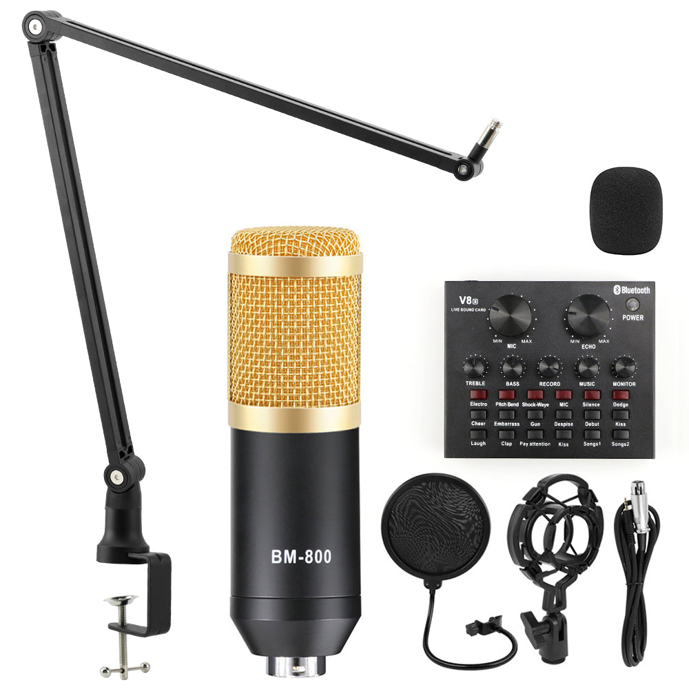 Professional Condenser Microphone for Studio Recording